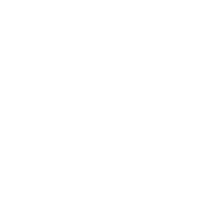 Junk Removal Icon
